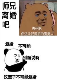 《師兄,離婚吧》