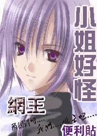 《(網王)小姐好怪》