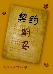 《契約駙馬》
