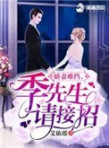 《嬌妻難擋,季先生請接招》