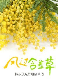 《風過含羞草》