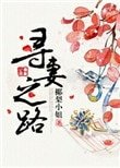 《尋妻之路》