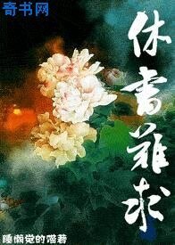 《休書難求》