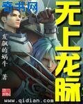 《無上龍脈》