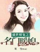 《盛世婚寵之名門暖媳》