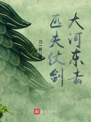 《匹夫仗劍大河東去》