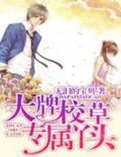 《大牌校草專屬丫頭》