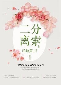 《二分離索》