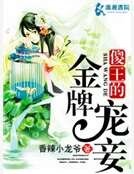 《傻王的金牌寵妾》
