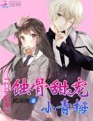 《竹馬歸來:蝕骨甜寵小青梅》
