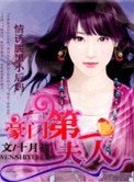 《盛寵第一夫人》