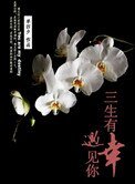 《三生有幸,遇見你》