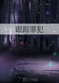《跟蹤罪犯》