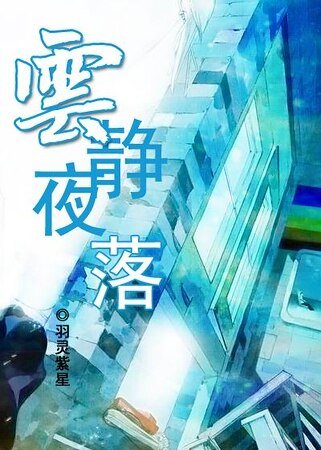 《(網王同人)雲靜夜落》