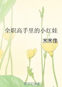 《(BL/全職同人)全職高手裡的小紅娃》