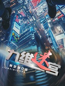 《九維迷宮》