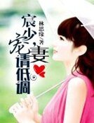 《宸少,寵妻請低調》