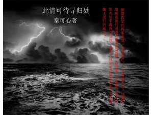 《此情可待尋歸處》