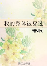 《我的身體被穿過》