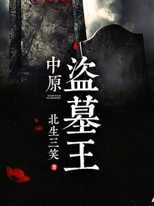 中原盜墓王