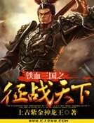 《鐵血三國之徵戰天下》