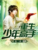 《重生少年高手》