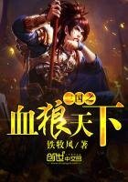 《三國之血狼天下》