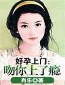 《好孕上門:吻你上了癮》