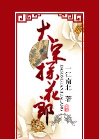 大宋探花郎