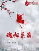 《魂歸萊茵》