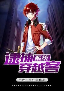 《逮捕穿越客系統》