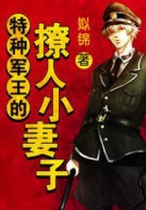 特種軍王的撩人小妻子