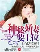 《再嫁,慕少的神秘嬌妻》