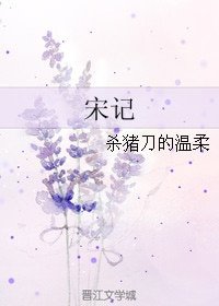 《宋記》