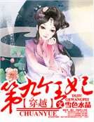 《穿越,第九個王妃》