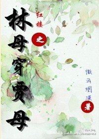 《(紅樓同人)紅樓之林母穿賈母》