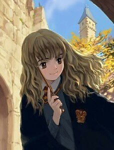 （哈利波特同人）哈利的魔法世界
