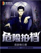 《危險拍檔》
