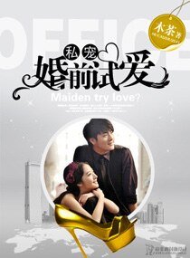 《私寵--婚歉試矮》