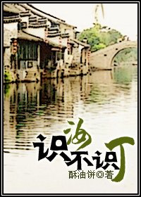 《識汝不識丁》