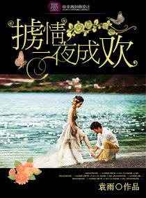《擄情,—夜成歡》