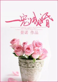 《一寵成婚》