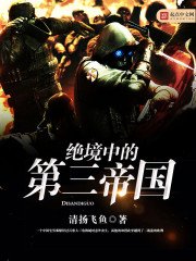 《絕境中的第三帝國》