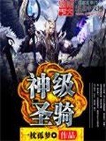 《神級聖騎》