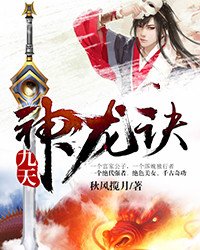 《九天神龍訣》