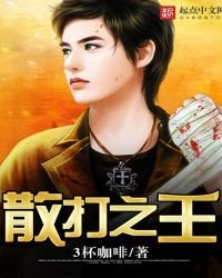 《散打之王》