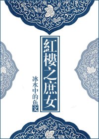 《(紅樓同人)紅樓之庶女》