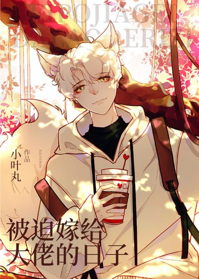 《嫁給天界大佬的日子》