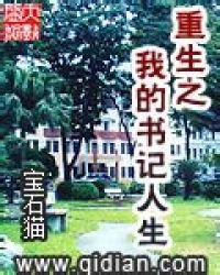 《重生之我的書記人生》