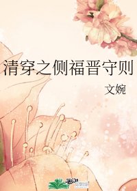 《(BG/清穿同人)清穿之側福晉守則》